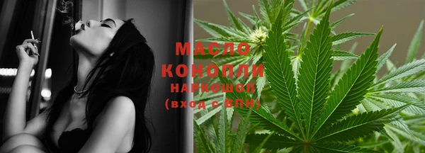 мдпв Краснослободск