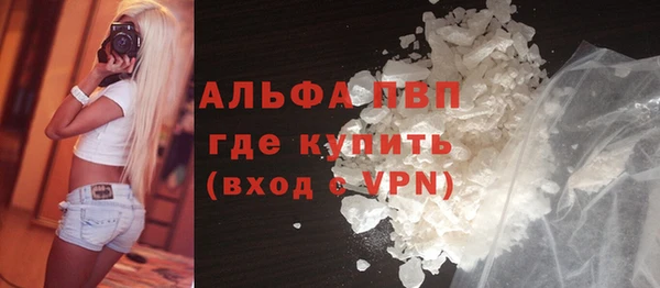 мдпв Краснослободск