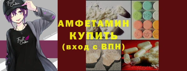 мдпв Краснослободск