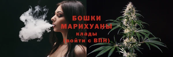 мдпв Краснослободск