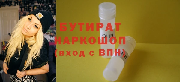 мдпв Краснослободск