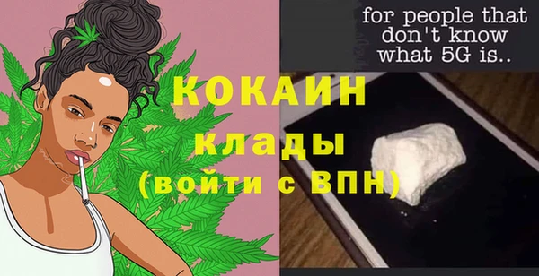 мдпв Краснослободск