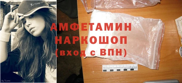 мдпв Краснослободск