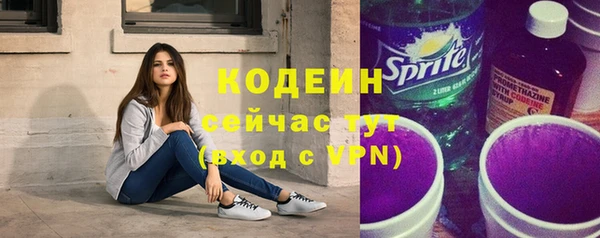 мдпв Краснослободск