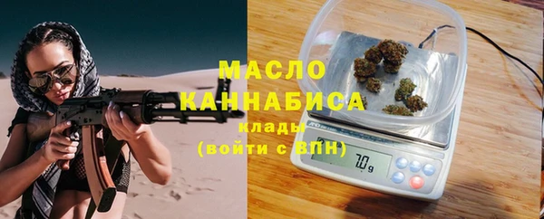 мдпв Краснослободск