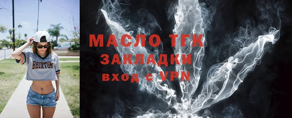 мдпв Краснослободск