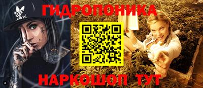 PSILOCYBIN Кингисепп