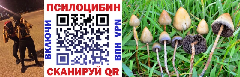 Псилоцибиновые грибы прущие грибы Лесозаводск