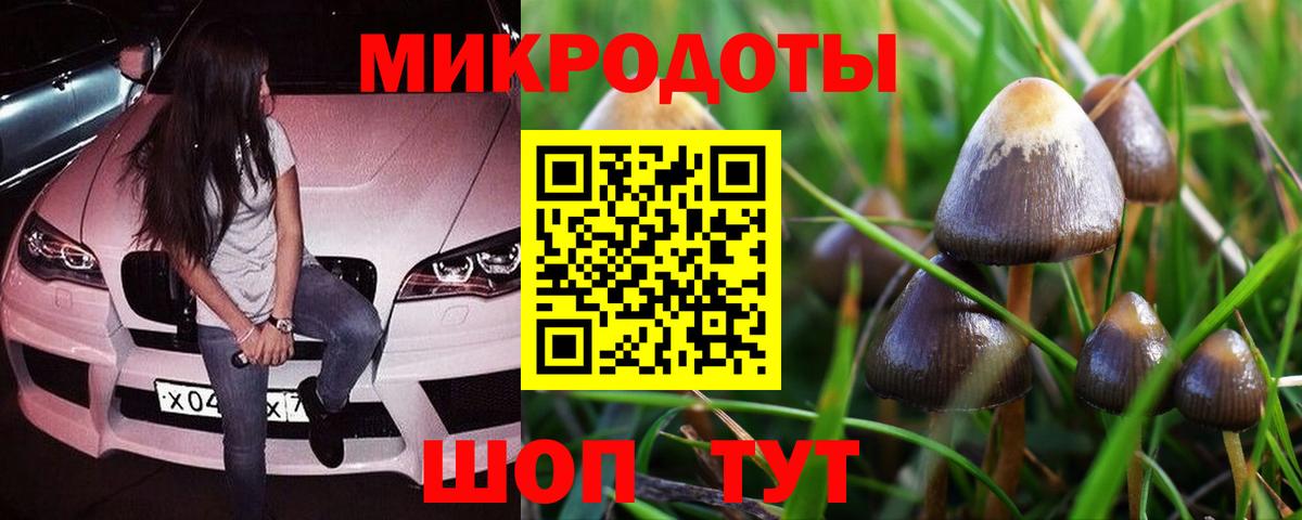 Галлюциногенные грибы Magic Shrooms Лесозаводск