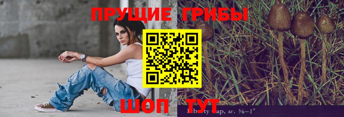 Лесозаводск  Псилоцибиновые грибы GOLDEN TEACHER  Вход с VPN 